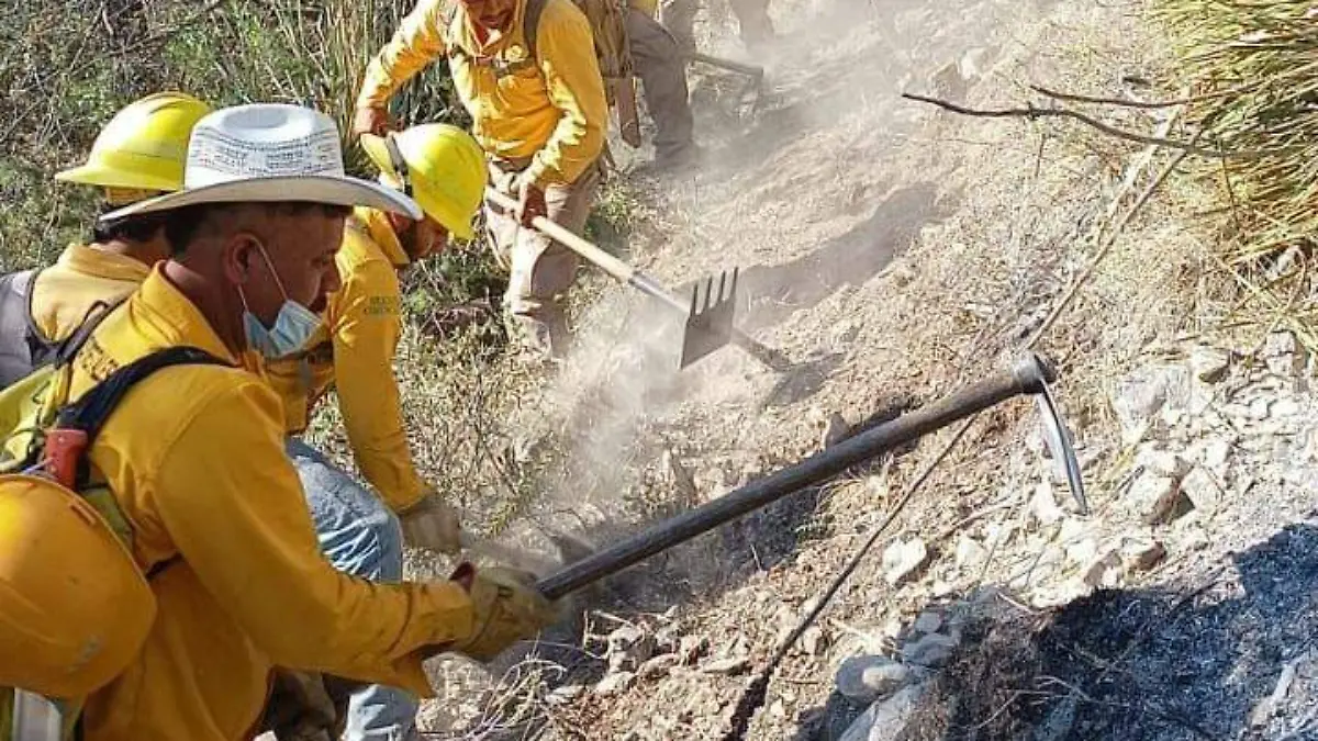 Incendios Coahuila